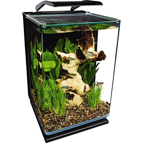 Marineland Portrait Glass LED Aquarium Kit, 5 Gallon