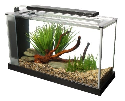 Fluval SPEC Aquarium Kit, 5 Gallon
