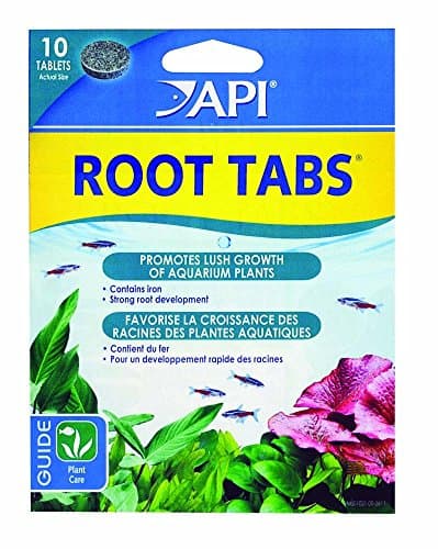 API Root Tabs, 3 Pack