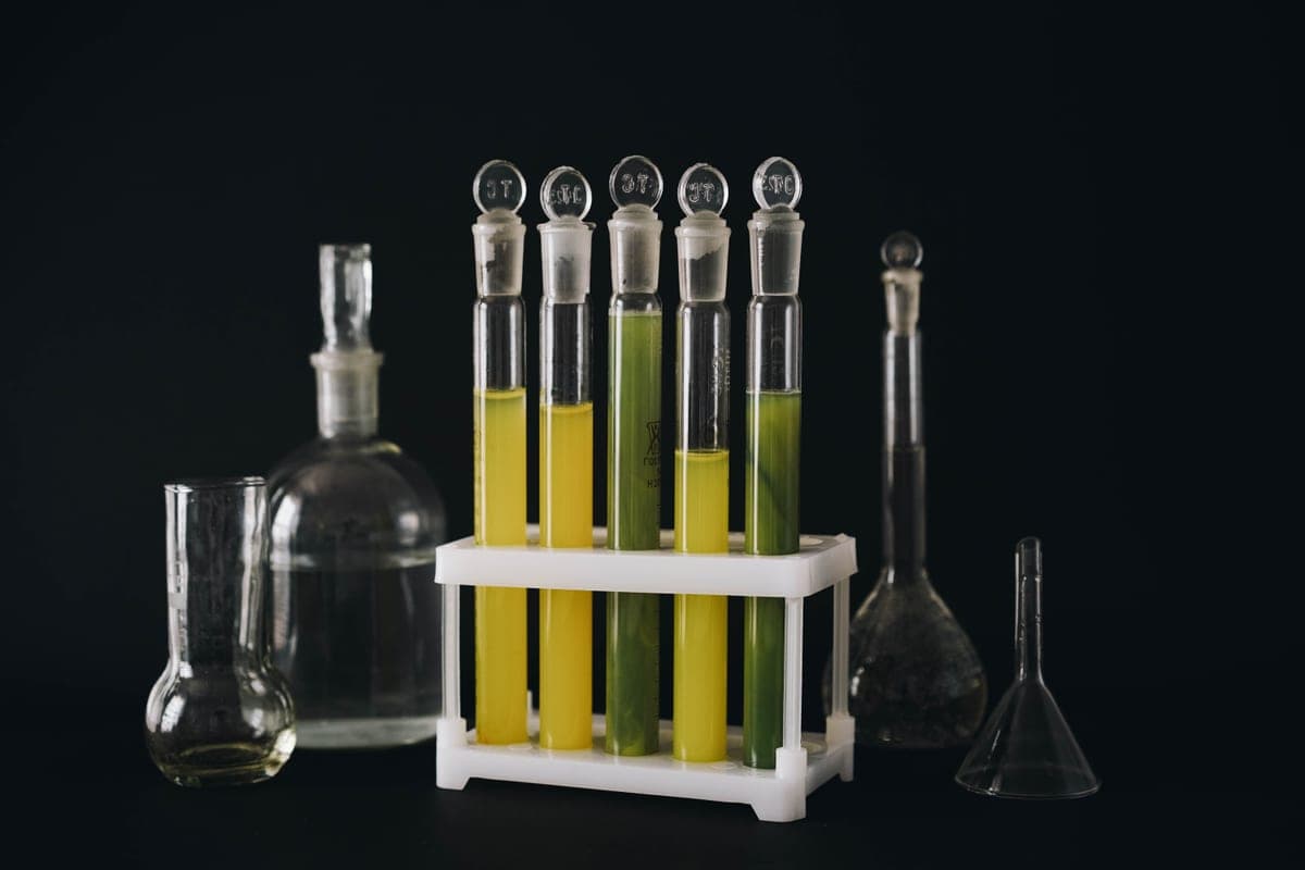 A row of test tubes holding brightly colored liquids