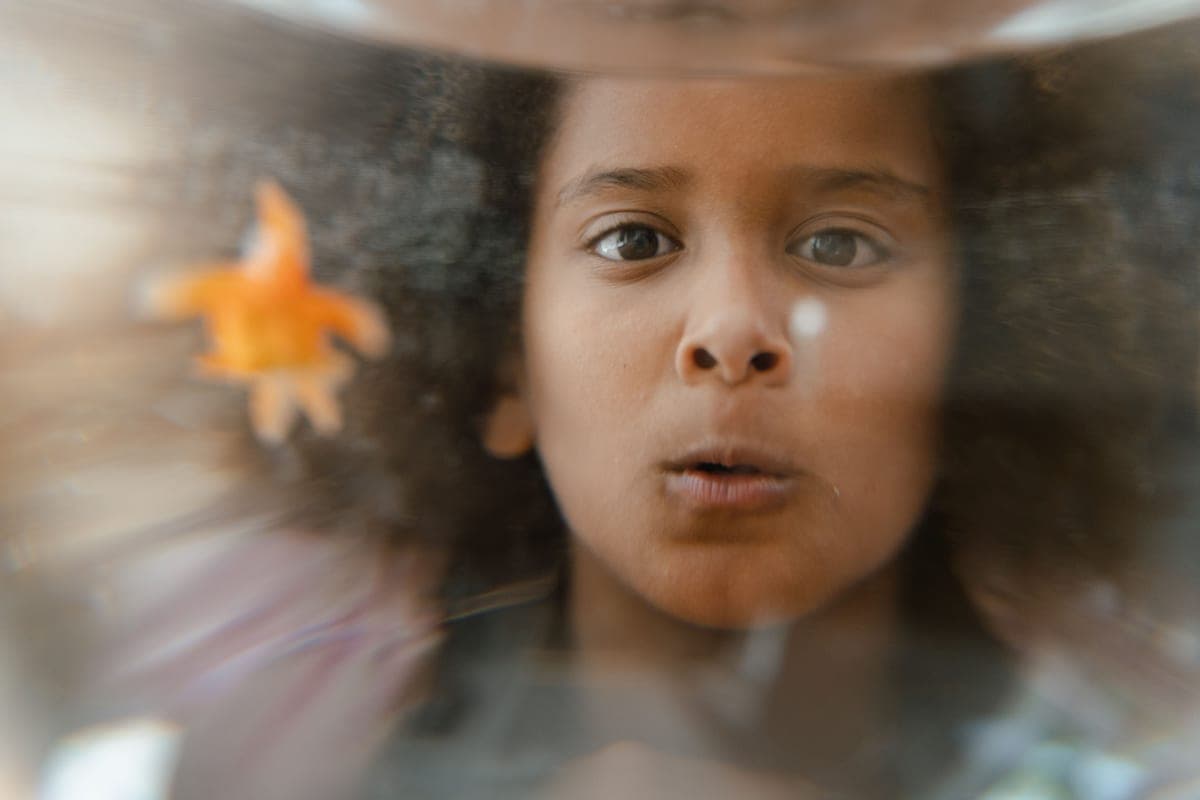 A child watching a fish through the glass of an aquarium