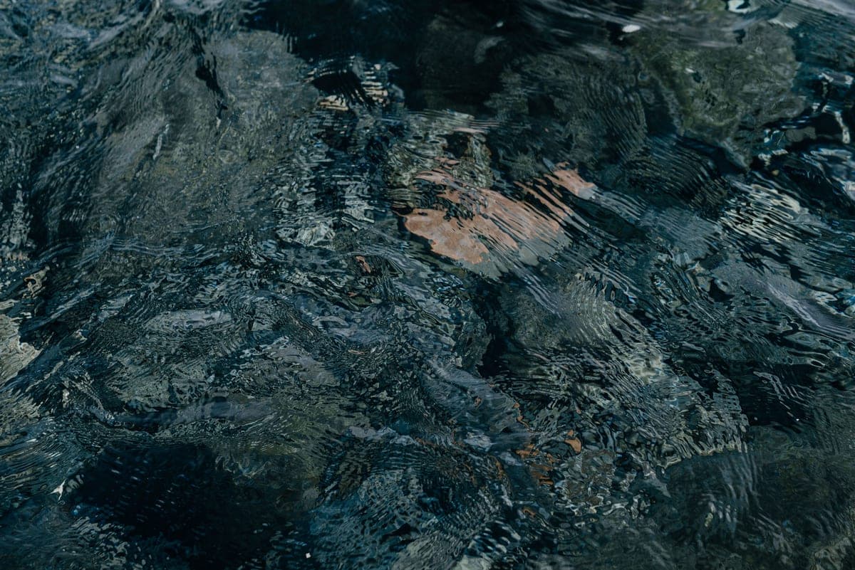 Light reflecting off the surface of moving water