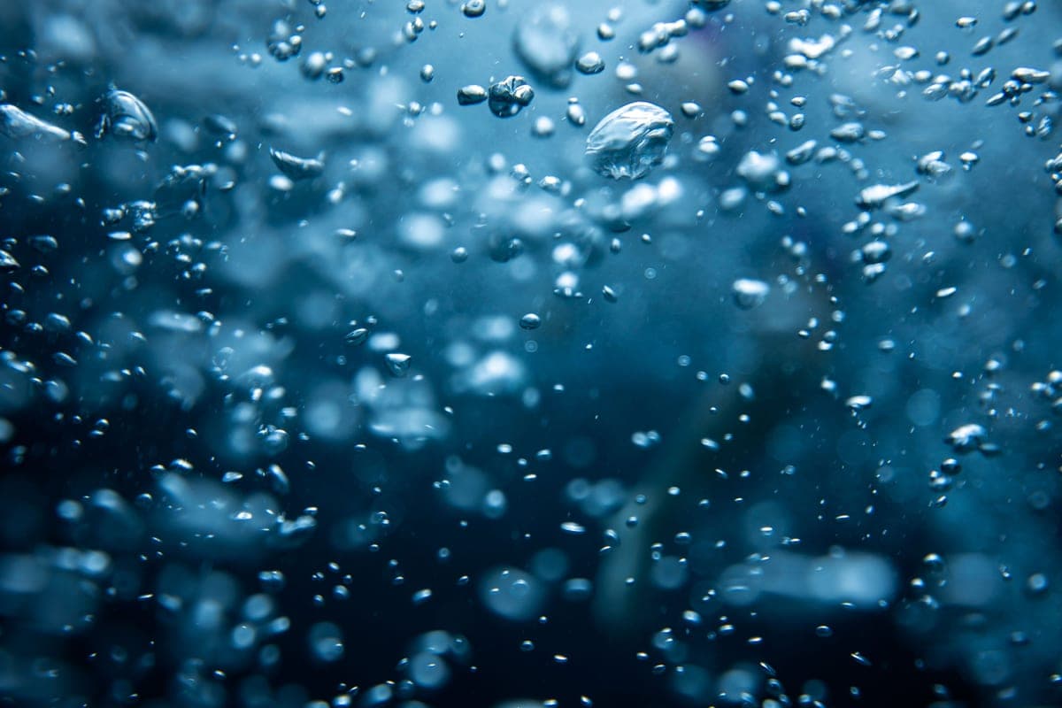 Fine air bubbles rising through water in an aquarium