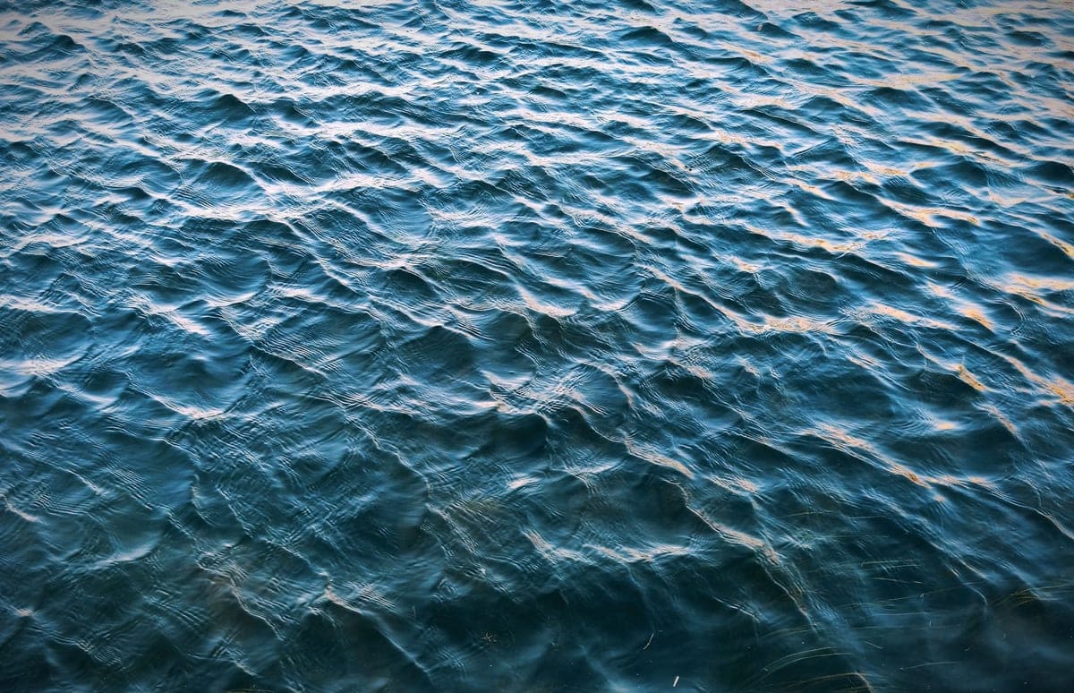 Sunlit ripples moving across the surface of water