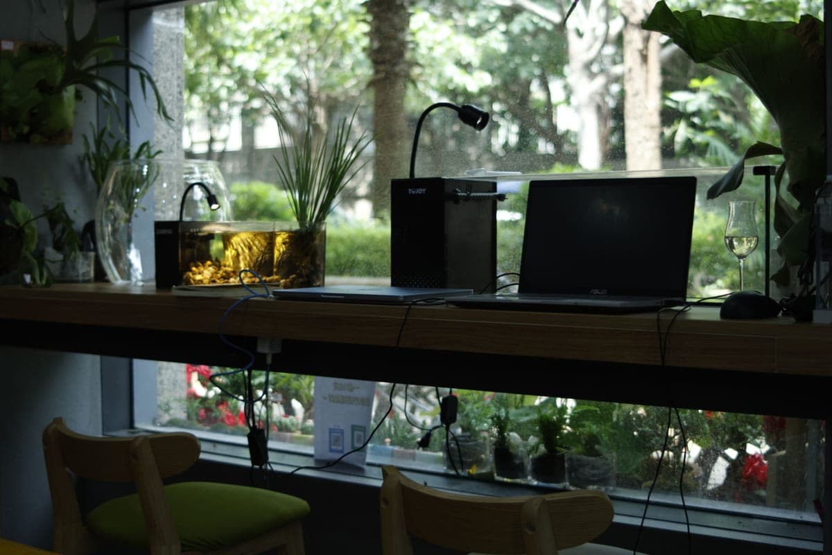 The best 10 gallon aquarium kits