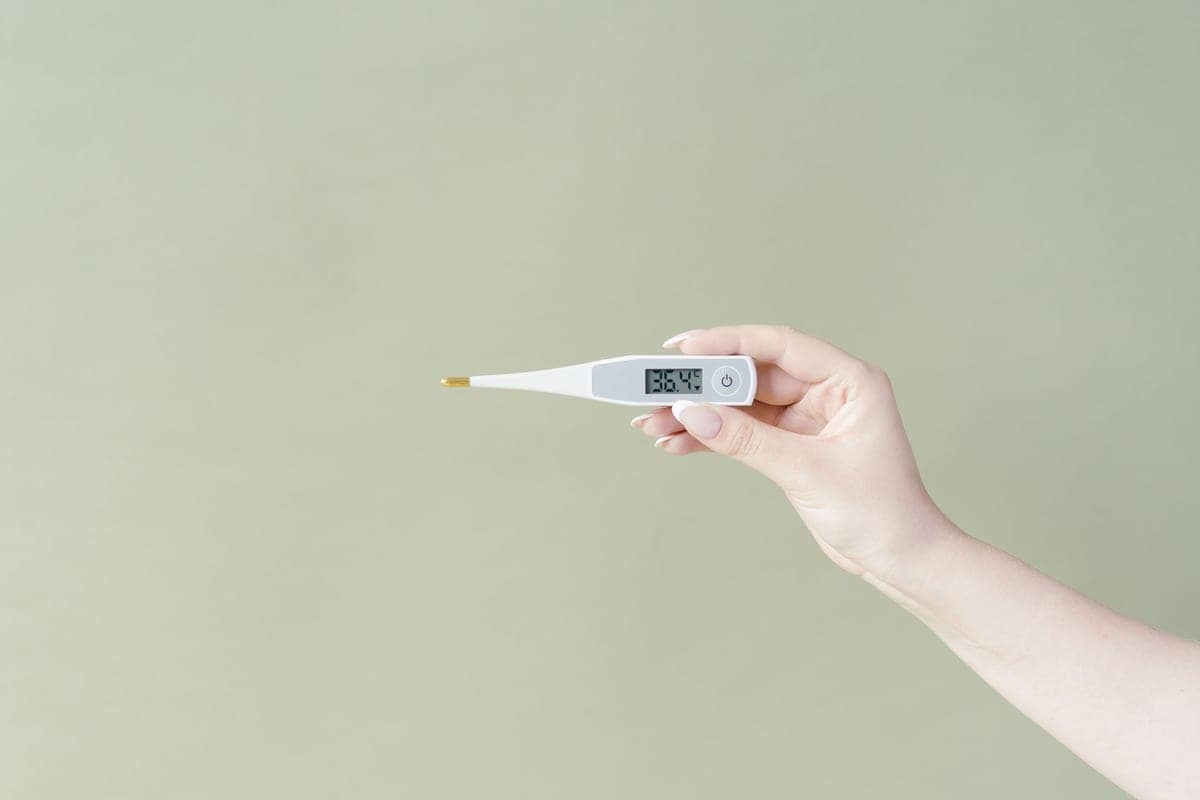 A hand holding a digital thermometer showing a temperature reading