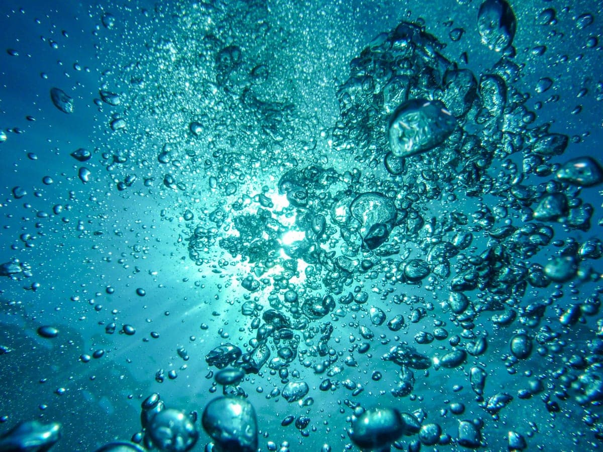 Streams of fine bubbles rising through sunlit water